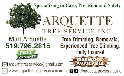 You are currently viewing Arquette Tree Service Inc.