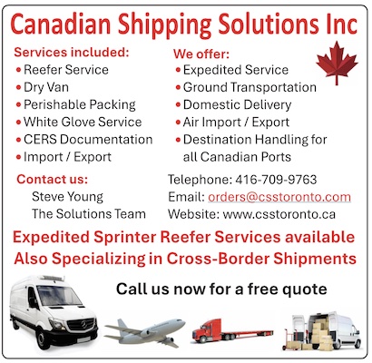 Read more about the article Canadian Shipping Solutions
