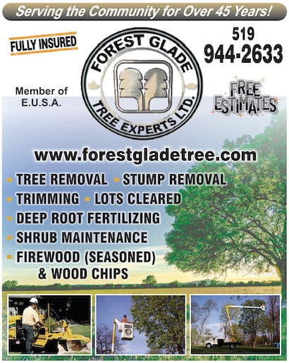 You are currently viewing Forest Glade Tree Experts