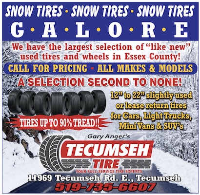 Read more about the article Gary Anger’s Tecumseh Tire