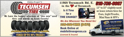 Read more about the article Gary Anger’s Tecumseh Tire