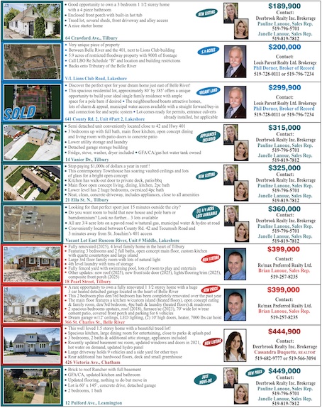 Read more about the article Lakeshore Real Estate