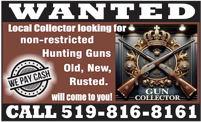 You are currently viewing Gun Collector